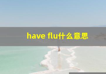 have flu什么意思